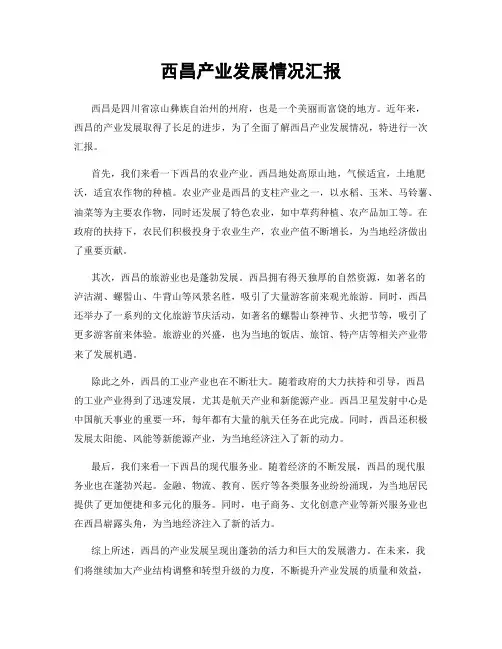 西昌产业发展情况汇报