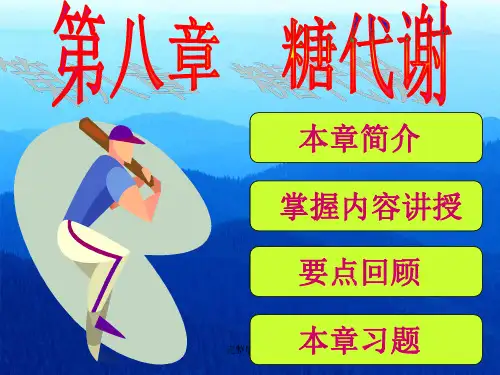 生物化学完整——糖代谢ppt课件