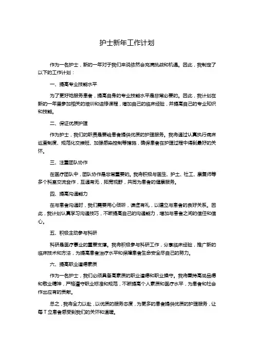护士新年工作计划