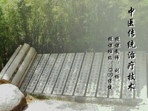 中医传统治疗技术