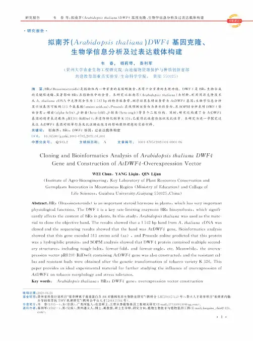 拟南芥(Arabidopsis thaliana)DWF4基因克隆、生物学信息分析及过表达载体构建