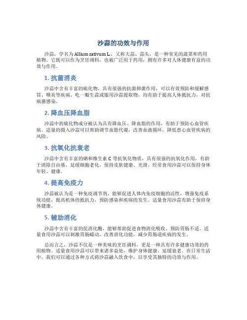 沙蒜的功效与作用