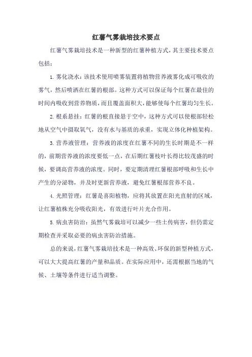 红薯气雾栽培技术要点