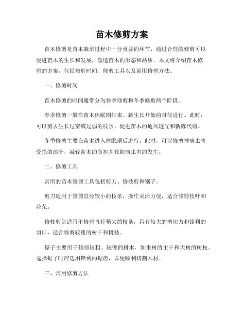 苗木修剪方案