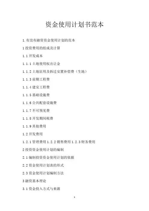 资金使用计划书范本
