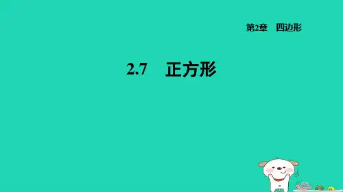 2024八年级数学下册第2章四边形2.7正方形习题课件新版湘教版