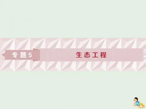 2019年春高中生物专题5生态工程5.1生态工程的基本原理课件新人教版选修3