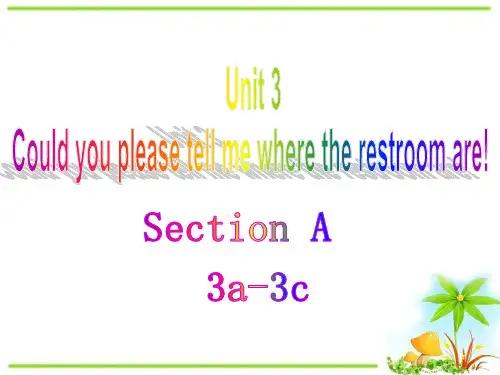 人教版九年级全册Unit3 Could you please tell me 课件 (共24张PPT