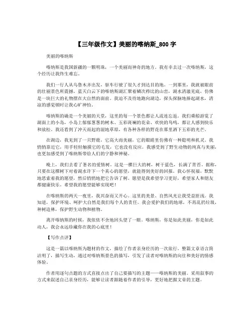 【三年级作文】美丽的喀纳斯_800字
