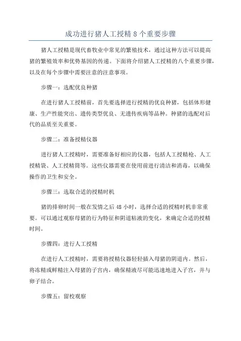成功进行猪人工授精8个重要步骤