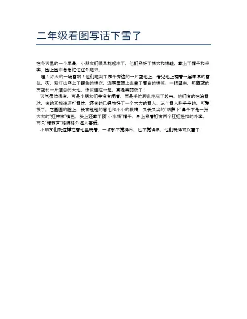 二年级看图写话下雪了