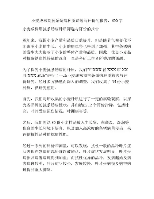 小麦成株期抗条锈病种质筛选与评价