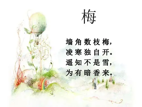 《踏雪寻梅》PPT课件