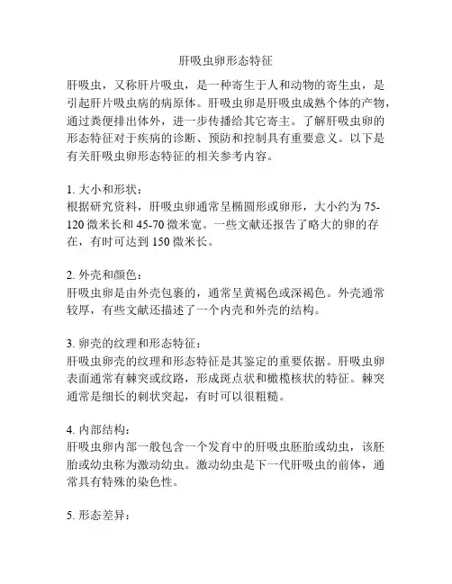 肝吸虫卵形态特征