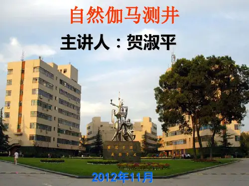 《自然伽马测井》PPT课件