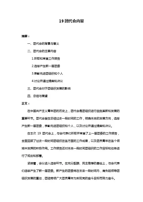 19团代会内容