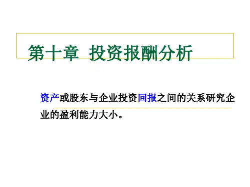 第十章投资报酬分析课件