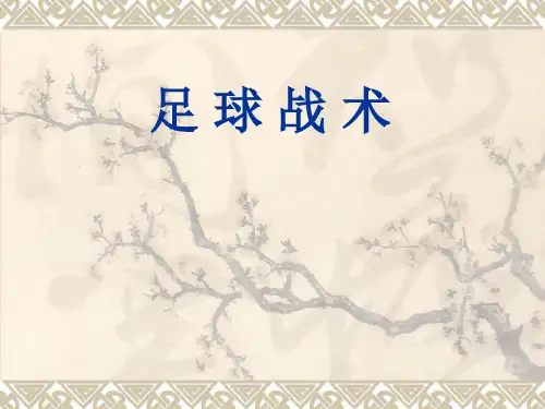 足球战术