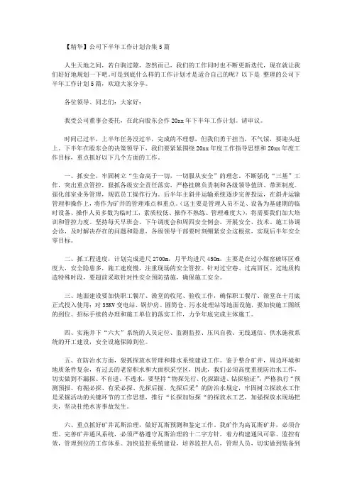 2020年【精华】公司下半年工作计划合集5篇