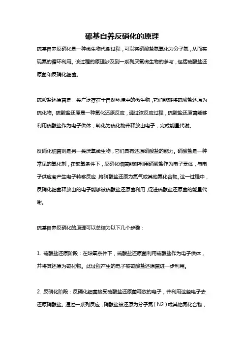 硫基自养反硝化的原理