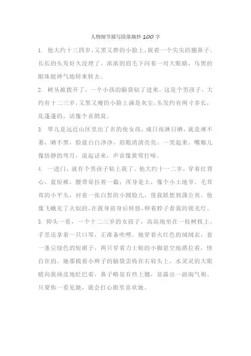 人物细节描写段落摘抄100字
