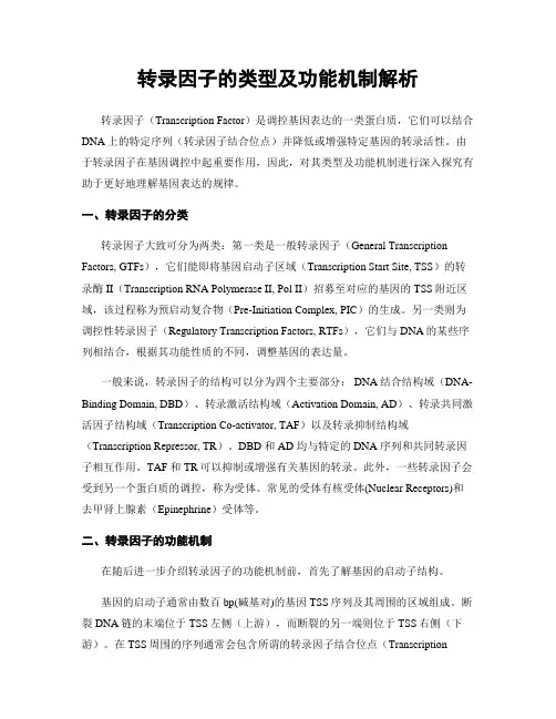 转录因子的类型及功能机制解析