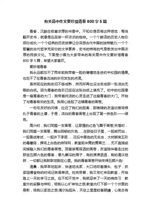 有关高中作文要珍惜青春800字5篇