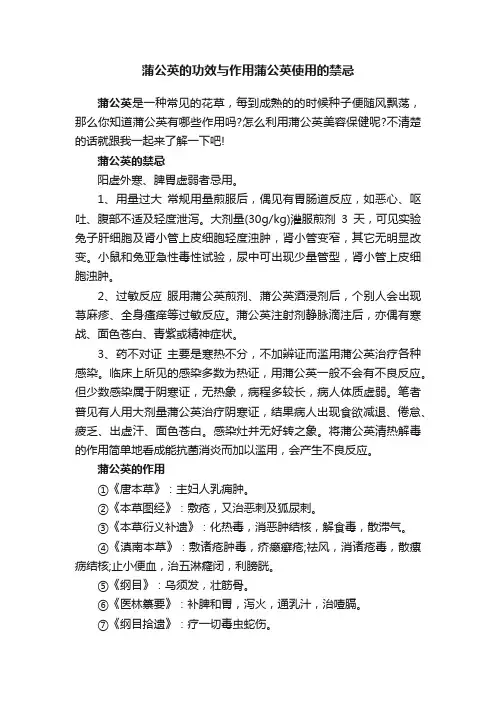 蒲公英的功效与作用蒲公英使用的禁忌