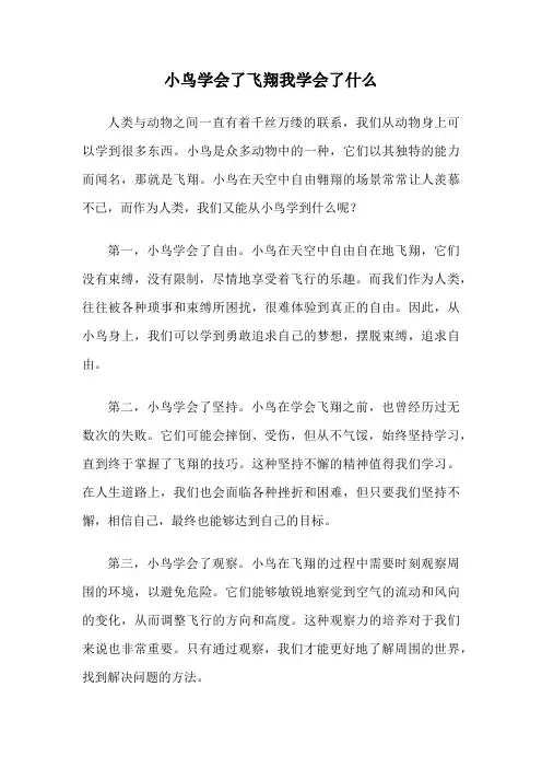 小鸟学会了飞翔我学会了什么