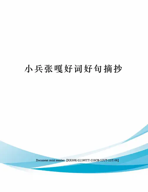 小兵张嘎好词好句摘抄