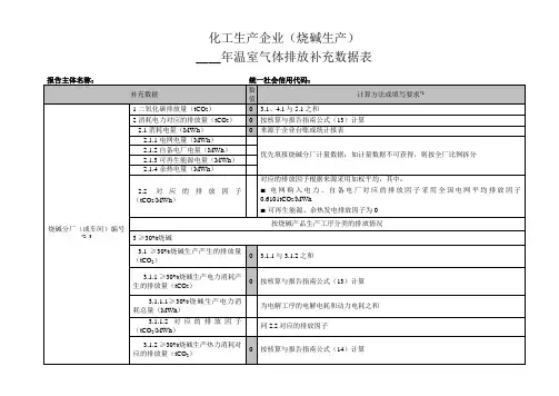 化工生产企业(烧碱生产)温室气体碳排放补充数据表(二氧化碳排放量计算方法)
