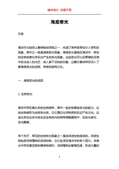 海底奇光_精品文档