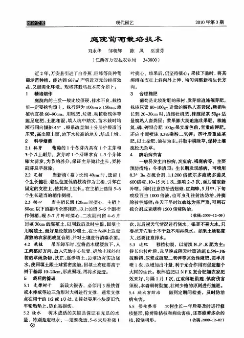 庭院葡萄栽培技术