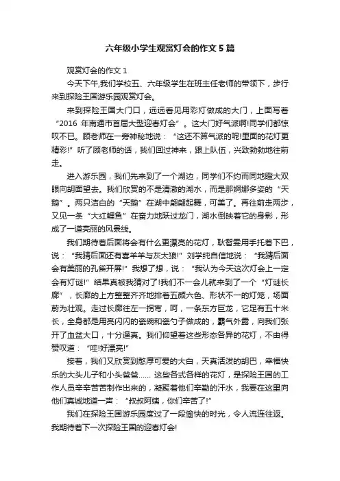 六年级小学生观赏灯会的作文5篇