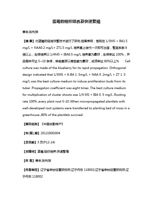 蓝莓的组织培养及快速繁殖