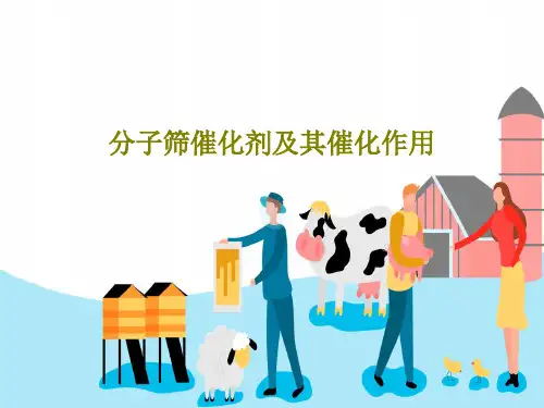 分子筛催化剂及其催化作用PPT文档共32页