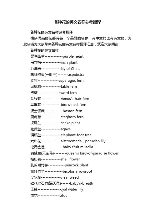 各种花的英文名称参考翻译
