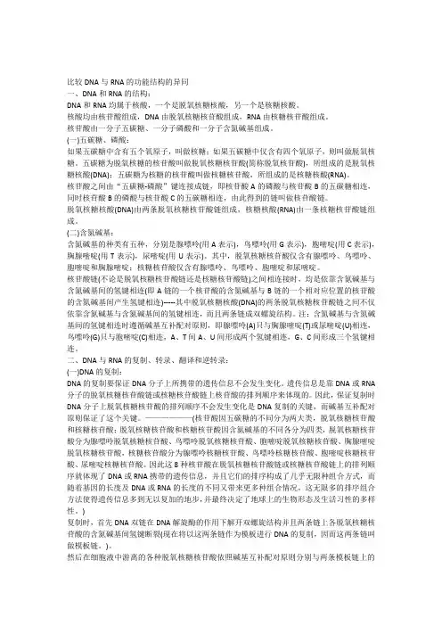 比较DNA与RNA的功能结构的异同