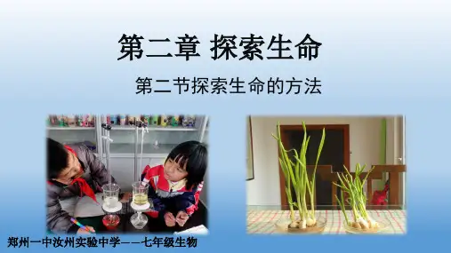 苏教版七年级生物上册2.2  探索生命的方法  课件 (共25张PPT)