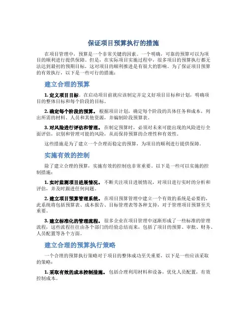 保证项目预算执行的措施