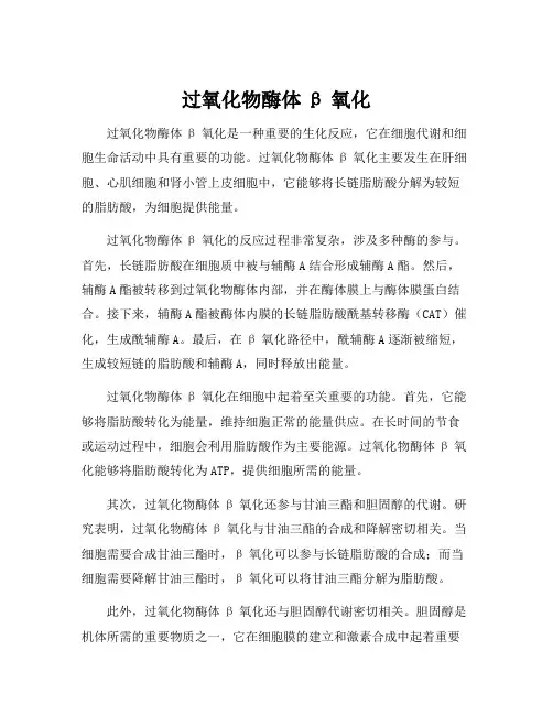 过氧化物酶体β氧化