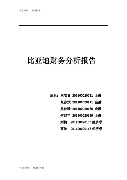 比亚迪上市公司财务分析报告