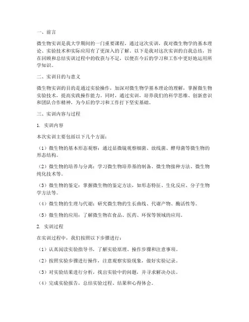 微生物实训报告自我总结