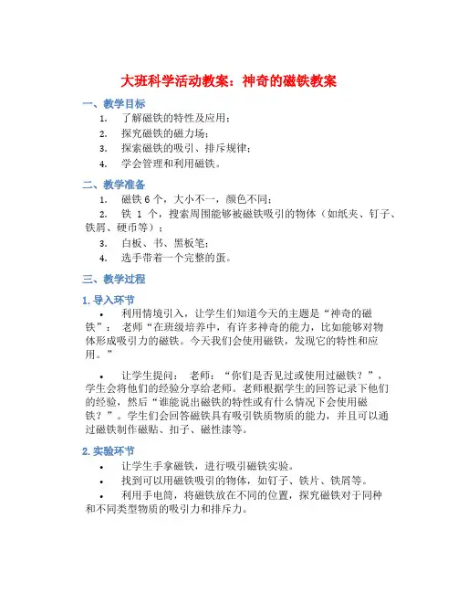 大班科学活动教案：神奇的磁铁教案(附教学反思) (2)
