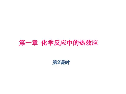 鲁科版高中化学选修四第一章