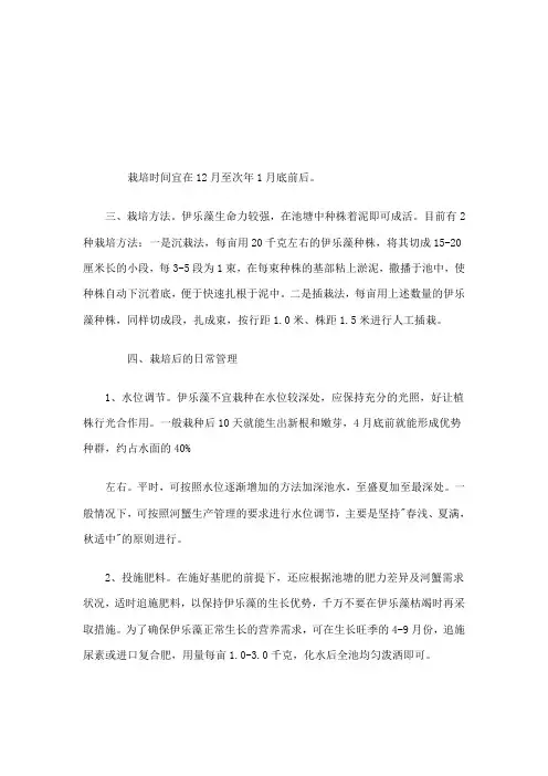 伊乐藻栽培及管理技术