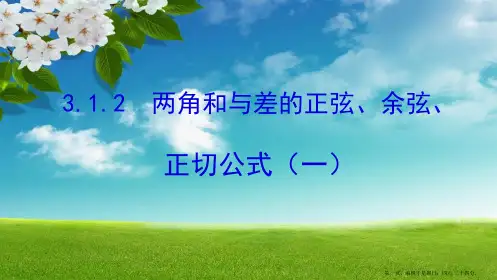 人教A版高中数学必修4 精选优课课件 3.1.1 两角差的余弦公式2