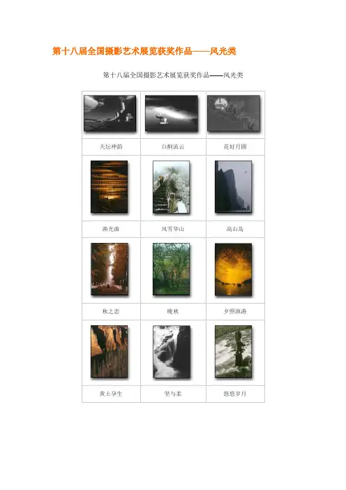 第十八届全国摄影艺术展览获奖作品