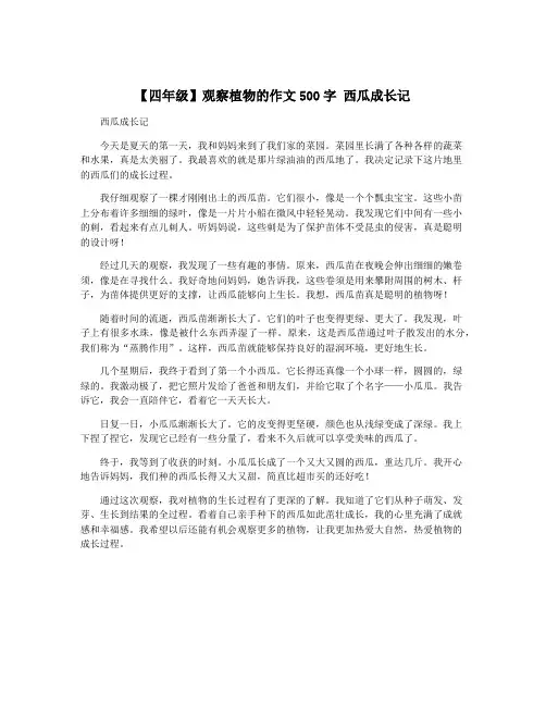 【四年级】观察植物的作文500字 西瓜成长记