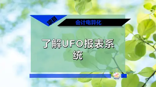 了解UFO报表系统
